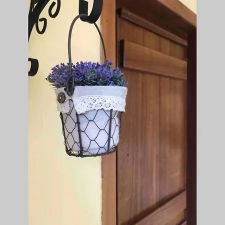 Turistico Con Precioso Jardin - Gayoles Rural Apartment Castropol