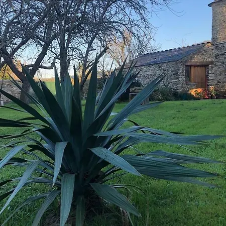 At El Manzano - Jardin & Bbq - Gayoles Rural