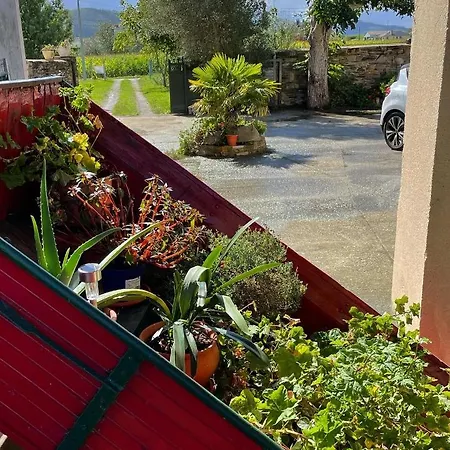 At El Manzano - Jardin & Bbq - Gayoles Rural