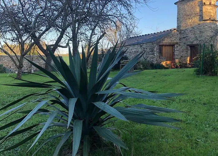 Turístico - Gayoles Rural