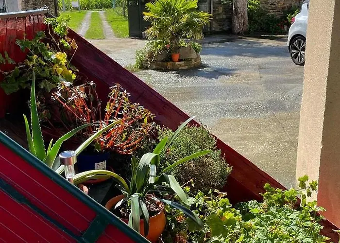 Turístico - Gayoles Rural