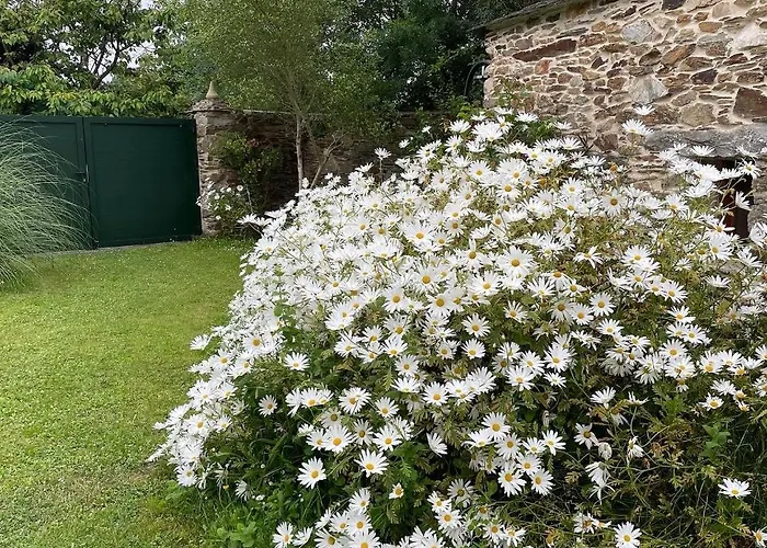 Turístico - Gayoles Rural Apartamento *